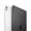 Apple iPad Pro 11" M4 8/256GB Wifi + Cellular Space Black Zaplombowany